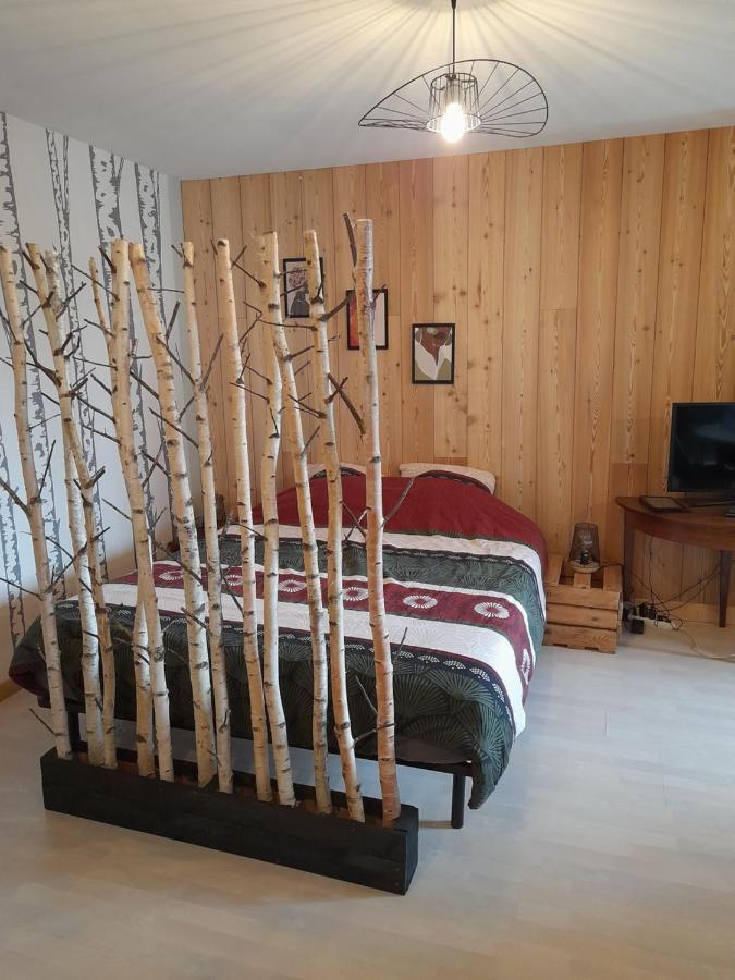 Studio Cosy De 2 A 4 Personnes Au Coeur Du Haut Doubs, Entre Les Lacs, Les Montagnes Et Les Vignobles Apartment Frasne Luaran gambar